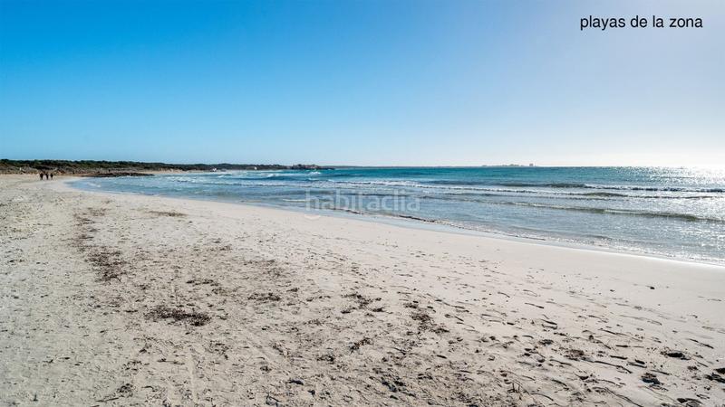 Foto 6fc73827-b33e-42a3-b3b3-cac9b10e57ea. Finca rústica a Ses Salines poble Ses Salines