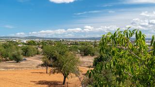 Mas à Son Anglada. Finca rústica con mucho potencial en venta a 5 minutos de palma,