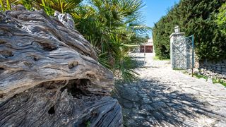 Finca rústica en Puigpunyent
