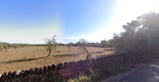 Mas à Campos. Increíble finca ecológica en la naturaleza de campos
