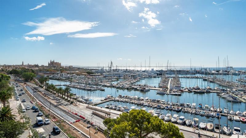 Foto 8011fc45-ed10-42f1-bc0f-545010ca8e25. Studio with heating pool in Es Jonquet Palma de Mallorca