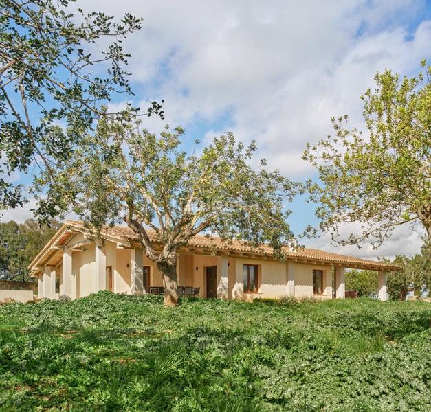 Foto 53a8d0d5-94d4-48c7-b1ec-2b781744ed65. Miete chalet mit heizung pool in Sencelles