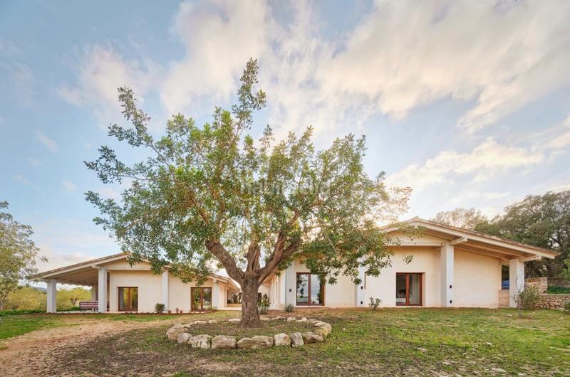 Foto fb5be312-c48d-4397-b499-e37073d23b38. Miete chalet mit heizung pool in Sencelles