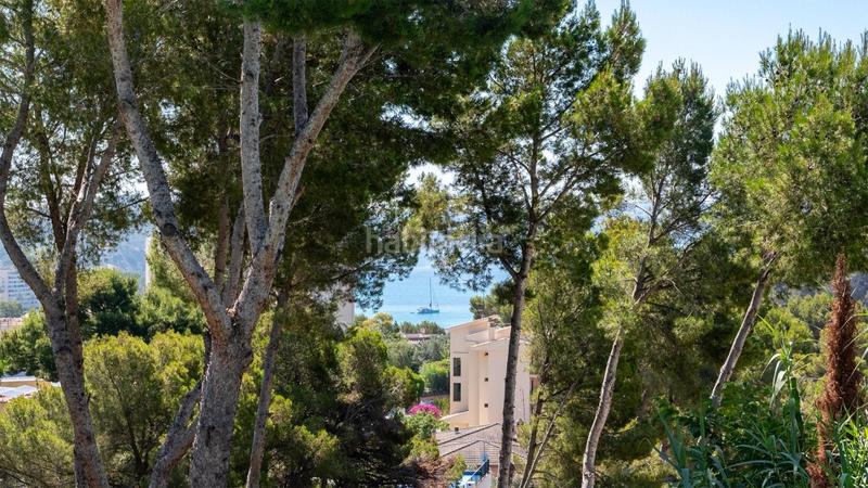 Foto bd7aa508-369f-45b3-86e7-da47f9f41c29. Chalet con riscaldamento in Peguera Calvià