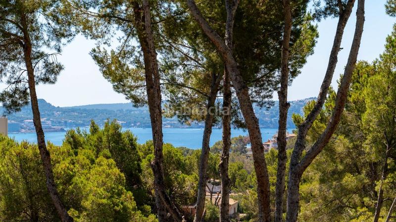 Foto ef758a8f-fdb8-4811-940b-296195cb911b. Chalet con riscaldamento in Peguera Calvià