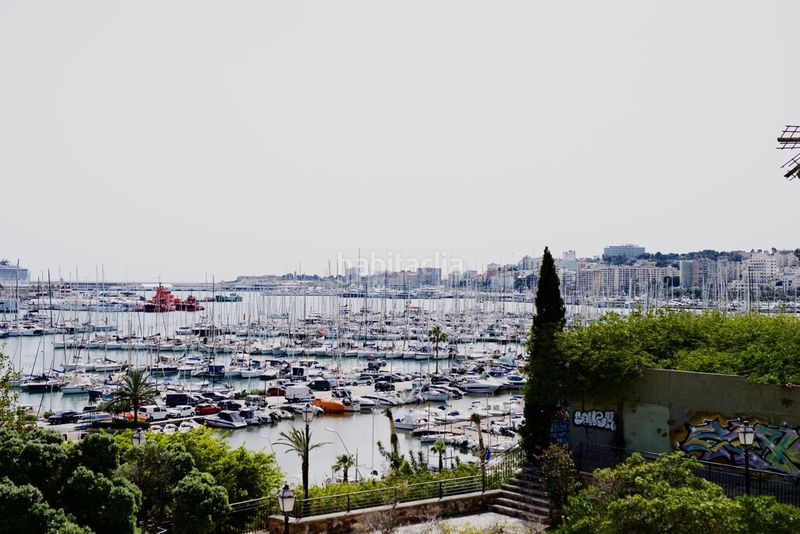 Foto 0627ee78-51f0-4927-b43a-c8185b95c16a. Xalet amb calefacció aparcament piscina a Es Jonquet Palma de Mallorca