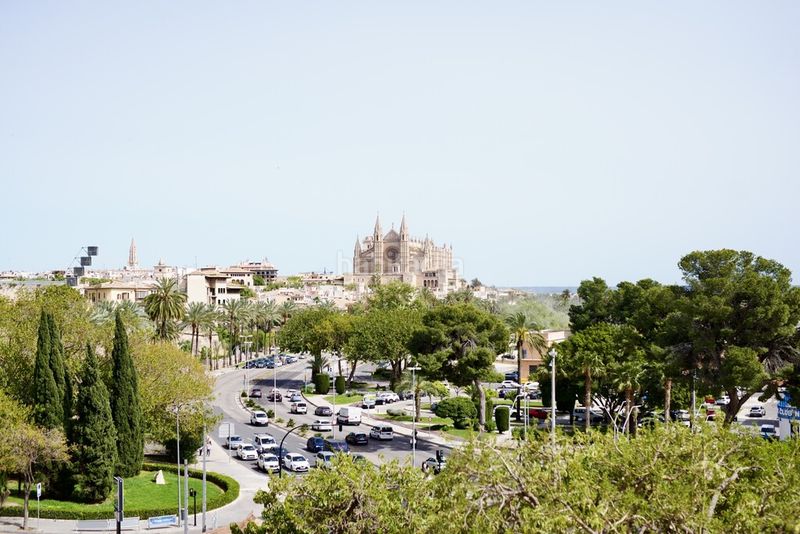 Foto 1798411d-8b30-43e1-b77a-aa37118e9910. Xalet amb calefacció aparcament piscina a Es Jonquet Palma de Mallorca