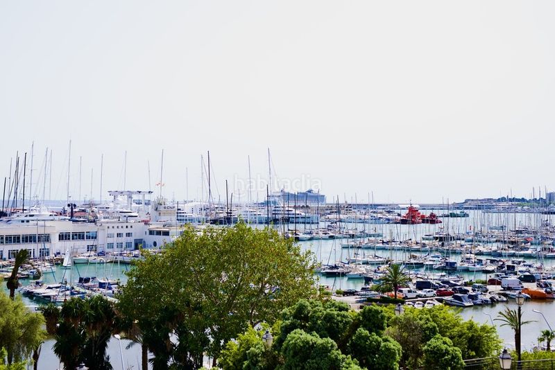 Foto 1b73ecc8-3b4a-4ee1-ae7a-84242da3c9c5. Xalet amb calefacció aparcament piscina a Es Jonquet Palma de Mallorca