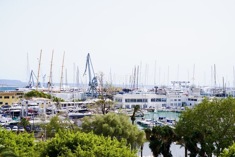 Foto 500a1dd0-6bfa-4cc1-bd9e-51662d85ccc9. Xalet amb calefacció aparcament piscina a Es Jonquet Palma de Mallorca