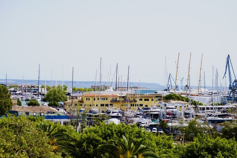 Foto 705a17f1-e3b0-476b-929a-f9b95af253b1. Xalet amb calefacció aparcament piscina a Es Jonquet Palma de Mallorca