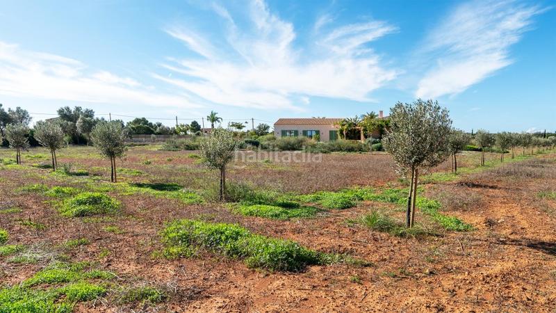 Foto 0a84d82a-54ce-40a8-a1d7-5babd99d91ee. Casale con riscaldamento parcheggio piscina in Campos