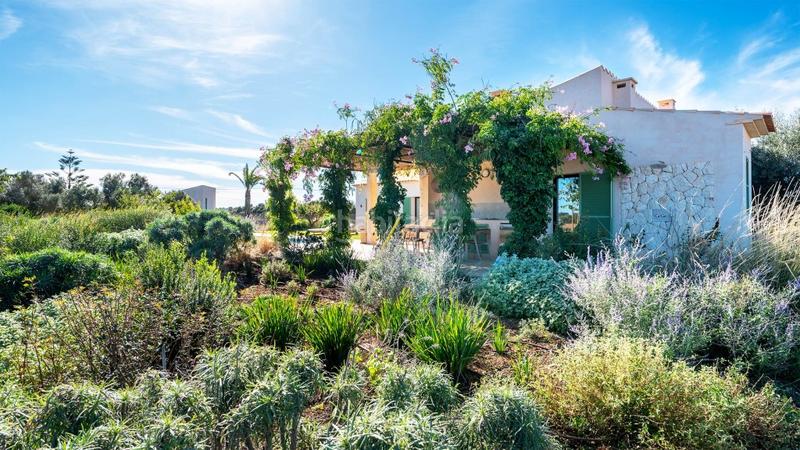 Foto e0707eb6-bce5-42dd-925d-70b7bcc2b45a. Casale con riscaldamento parcheggio piscina in Campos