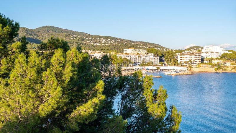 Foto 3e9dfd91-c1c7-44fa-bb30-75debae88222. Appartement avec parking dans Palmanova Calvià