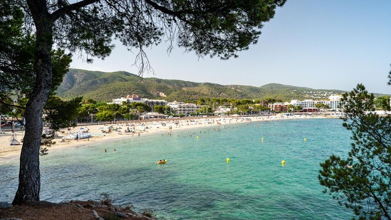 Foto cb794836-b3ef-4166-bacb-9713ae7d2605. Apartament amb aparcament a Palmanova Calvià