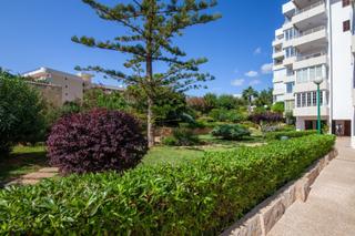 Appartement à Portals Nous. Excelente apartamento con 3 dormitorios en venta en puerto porta