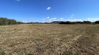 Landgut in Llucmajor Interior. Parcela en venta con proyecto para una exclusiva finca en llucma