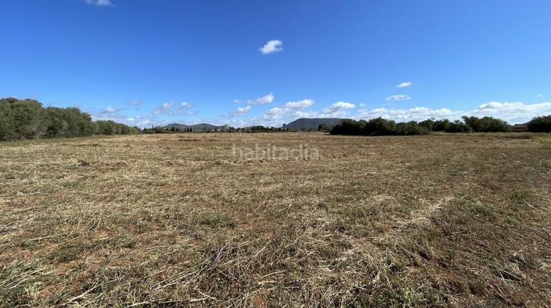 Foto b2293456-fa58-453e-b136-6f890bb4f7e6. Finca rústica a Llucmajor interior Llucmajor