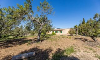 Bauernhof in Alaró. Finca rústica con opción de ampliar entre santa maria y alaró