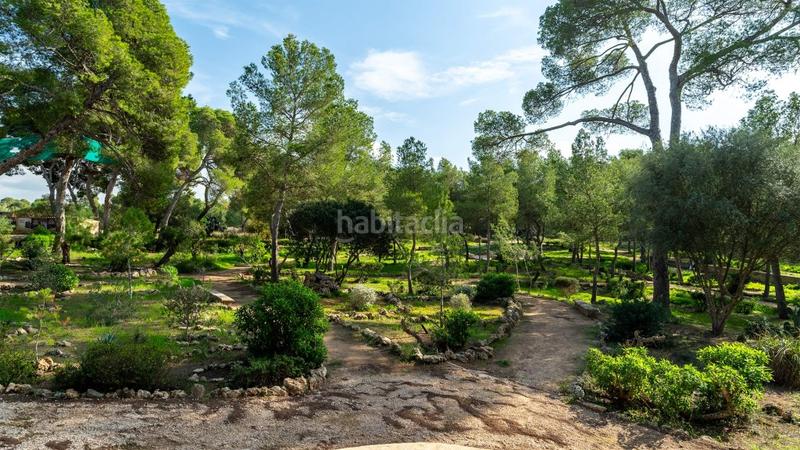 Foto 0404cc5c-4151-4e05-bdf6-d4ae282ab806. Casa aparellada a S´Arenal Palma de Mallorca