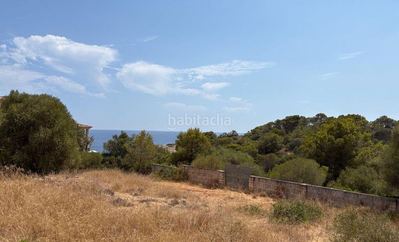 Foto 0ceb4120-2ce0-44b2-ab6f-d5b3d59040c3. Finca rústica a Porto Cristo Manacor