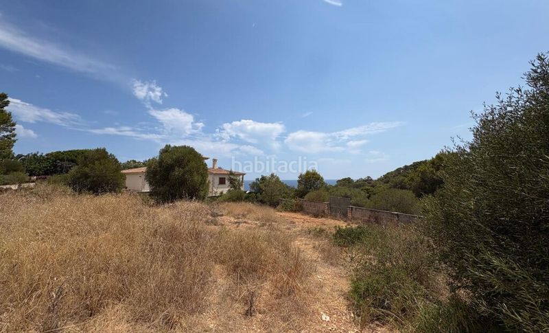 Foto 1d490864-f046-4287-8329-e96056913be1. Finca rústica a Porto Cristo Manacor