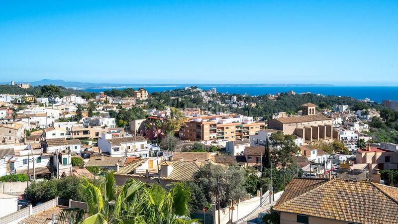 Foto 9b76c1b8-0e6b-4ba6-87f3-59c45ddd6fba. Casa aparellada amb aparcament piscina a Gènova Palma de Mallorca
