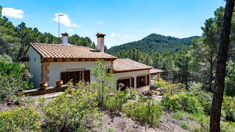 Foto 0d9a67c1-14e9-4b79-92f2-2ba20ed4fc0a. Xalet amb calefacció aparcament piscina a Andratx Andratx