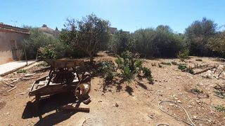 Finca rústica en S´Alquería Blanca - Calonge. Parcela urbana en venta en salqueria blanca, santanyi, mallorca