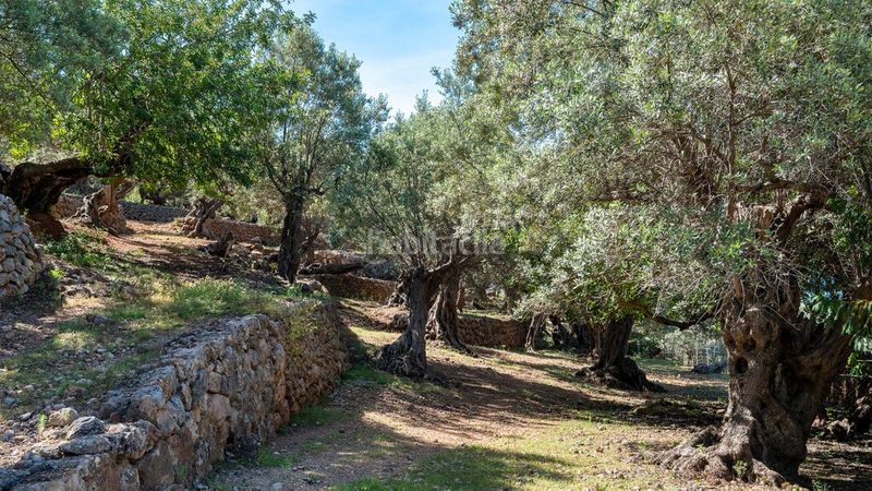 Foto e475d6f8-8ecc-4234-9e6e-f8707d47f930. Masia amb calefacció aparcament a Sóller