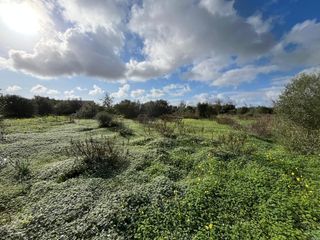 Finca rústica en Ses Salines Poble. Parcela rústica con proyecto para una casa cerca de ses salines