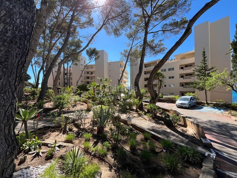 Foto 112b2c95-1480-4bdf-b8ae-ab69532c99cb. Apartament amb aparcament piscina a Costa de la Calma Calvià
