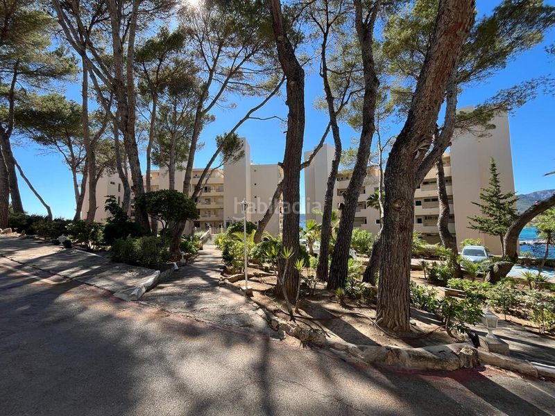 Foto 1c6a6fbf-5be1-40a1-96f5-091a77c8559c. Apartament amb aparcament piscina a Costa de la Calma Calvià