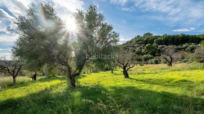 Foto 94ea30fd-2472-4533-b2c9-292eebf653e9. Finca rústica a Selva