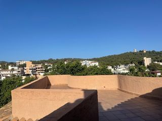 Affitto Attico in Son Armadams. Ático con gran solárium y vistas al castillo de bellver, en son