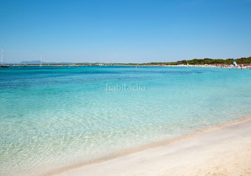 Foto f791c6c9-c01b-4584-891d-d6c6a26e89d0. Finca rústica parcela rústica con proyecto en Ses Salines poble Ses Salines