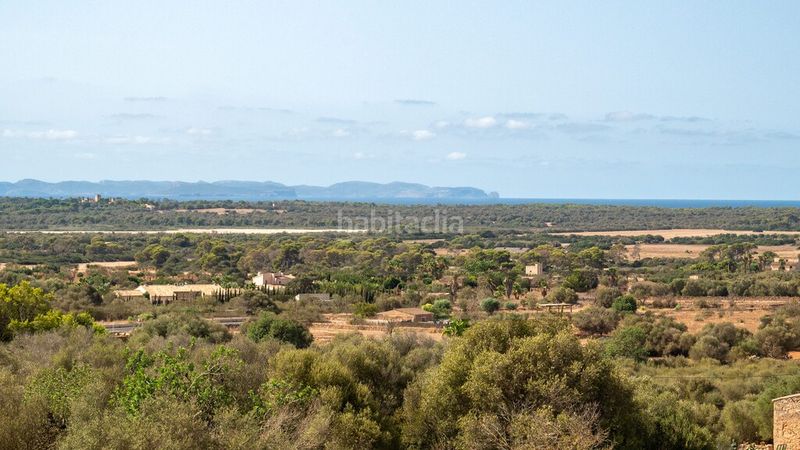 Foto 91363897-f7d3-4428-bece-01d9005ac766. Masia amb calefacció aparcament piscina a Ses Salines poble Ses Salines