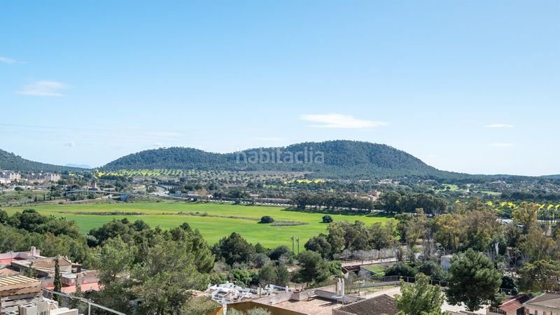 Foto ab3e1f57-5c82-44fc-bc34-bf93270f6c8d. Affitto attico con riscaldamento parcheggio piscina in Calvià