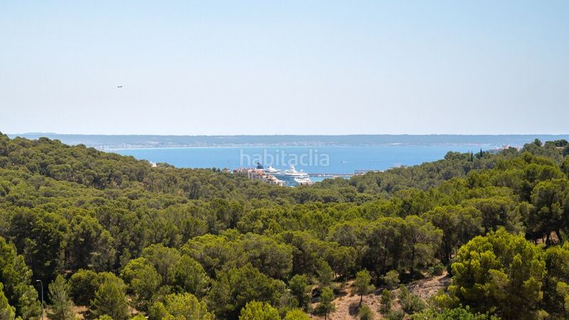 Foto 6db2f801-439e-48ab-9162-f3ca47cf8819. Xalet amb calefacció aparcament piscina a Gènova Palma de Mallorca