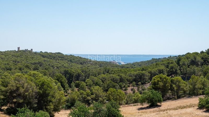 Foto b9e8a747-408e-4733-a865-cc1a7c2f9504. Xalet amb calefacció aparcament piscina a Gènova Palma de Mallorca