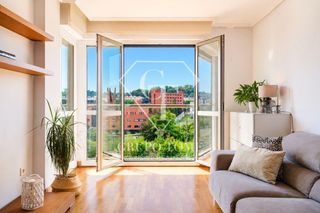 Piso  Plaza santiago. Exclusiva vivienda con dos terrazas y vistas al río urumea en ri