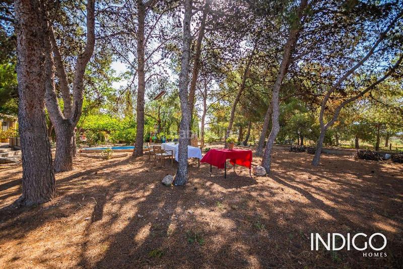 Foto 1627b832-24c1-4b56-b33d-dafd73fcbdb0. Maison avec chauffage parking piscine dans Villamontes-Boqueres Sant Vicent del Raspeig