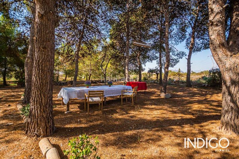 Foto 66a0b7f9-5987-482f-bf4d-fc7077572f29. Maison avec chauffage parking piscine dans Villamontes-Boqueres Sant Vicent del Raspeig