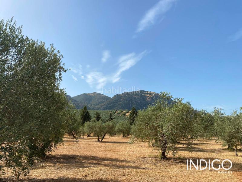 Foto 0f7ba4d7-518b-4f31-aee7-b38bfd9601f5. Maison avec parking dans Priego de Córdoba