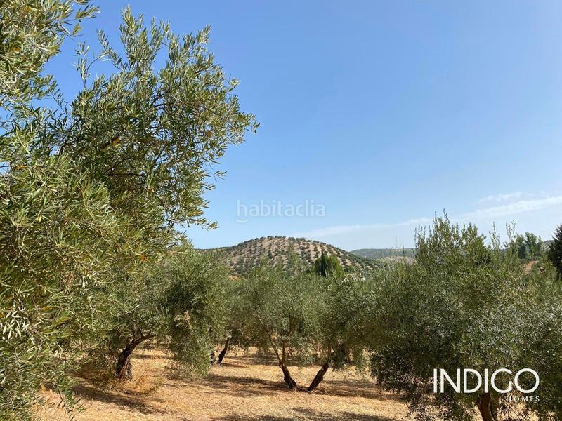 Foto 1787fdf9-92a2-4a69-87c9-14c596481733. Maison avec parking dans Priego de Córdoba