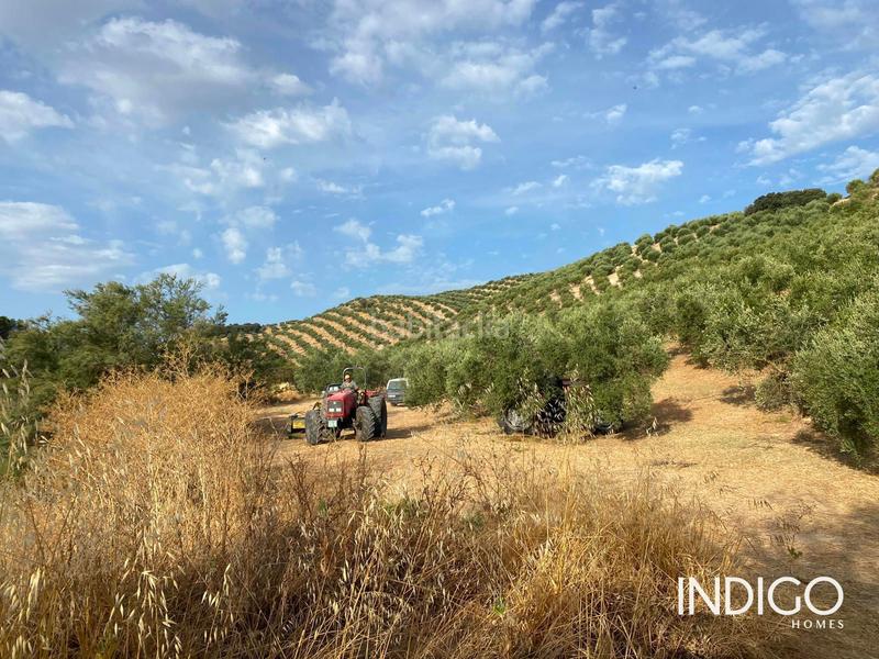 Foto 2b515c2d-6a1a-4707-b09a-3764552cead9. Maison avec parking dans Priego de Córdoba