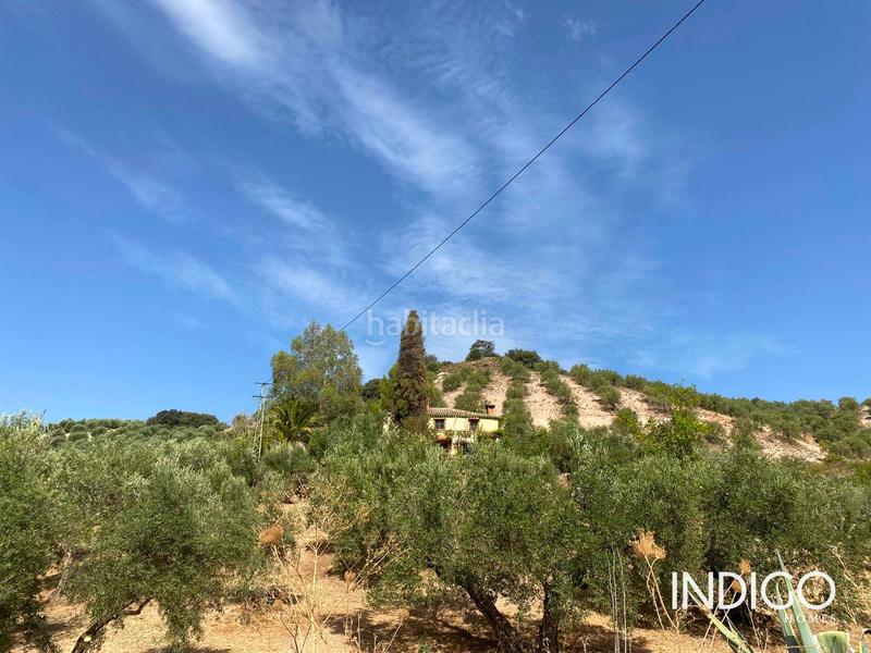 Foto 3e28fbeb-52e8-4740-ba5f-321d64e76b80. Maison avec parking dans Priego de Córdoba