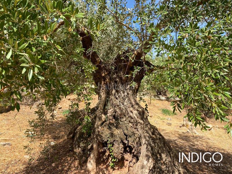 Foto 9e06f2db-ed11-4bad-b1ab-86a9105f65c1. Maison avec parking dans Priego de Córdoba