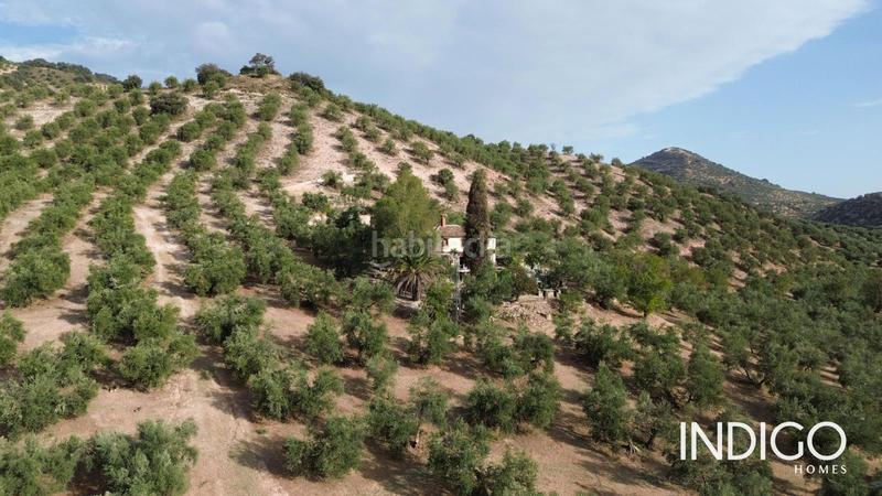 Foto c33b771f-c2c2-413e-a8bf-29b8343fd2f8. Maison avec parking dans Priego de Córdoba