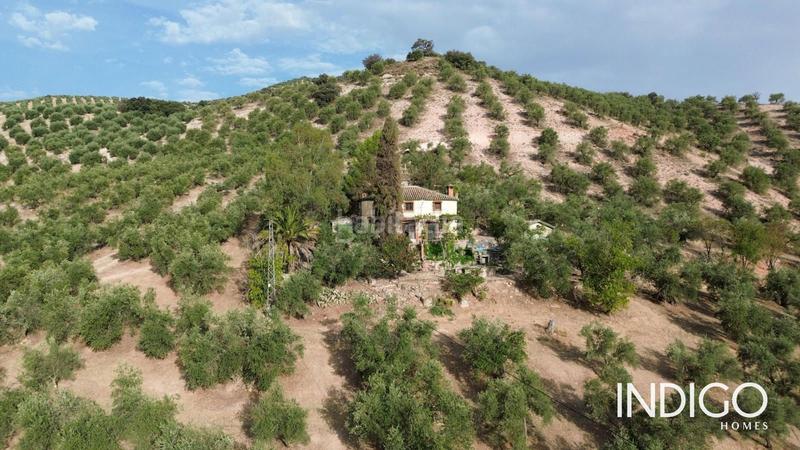 Foto cf0c9a38-65bf-49f5-8010-9307c0eba049. Maison avec parking dans Priego de Córdoba