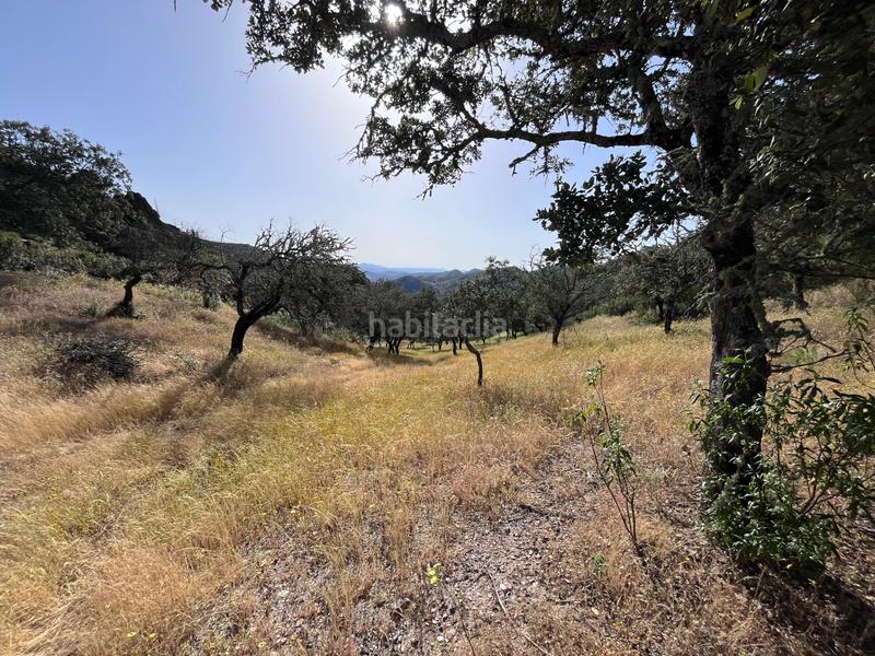 Foto 0d2cae78-dcf8-44e2-b5d3-2776fbdd7a92. Fondo rustico in Aracena